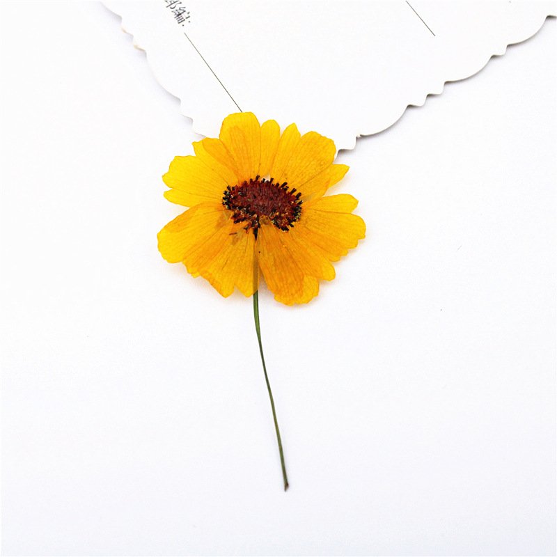 DIY handmade wedding gift dried flowers for candles personalized candles scented flower dried