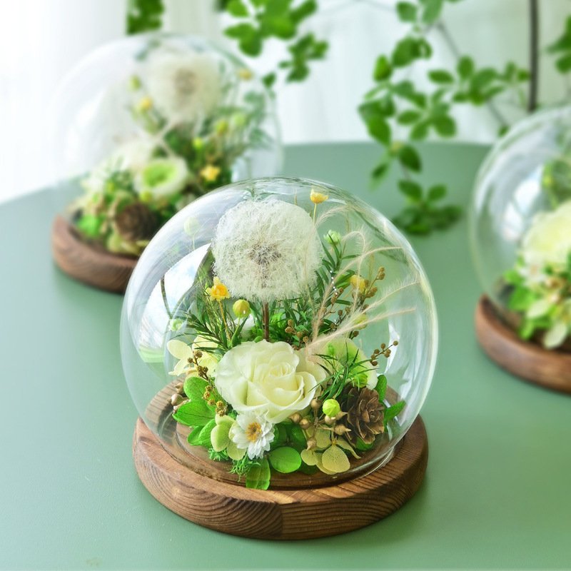 Wholesale New Arrival Dried Real Dandelion Ball Eternal Hydrangea Flower Preserved Dandelion In Glass Dome