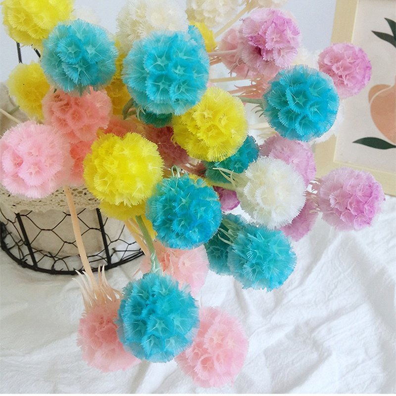 100% Natural Preserved Dried Flowers windmill fruit Unique Scabiosa Pods for Vase Flower Decoration
