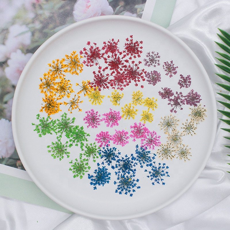 MNR1932 15 colors Real dried pressed ball shape flower