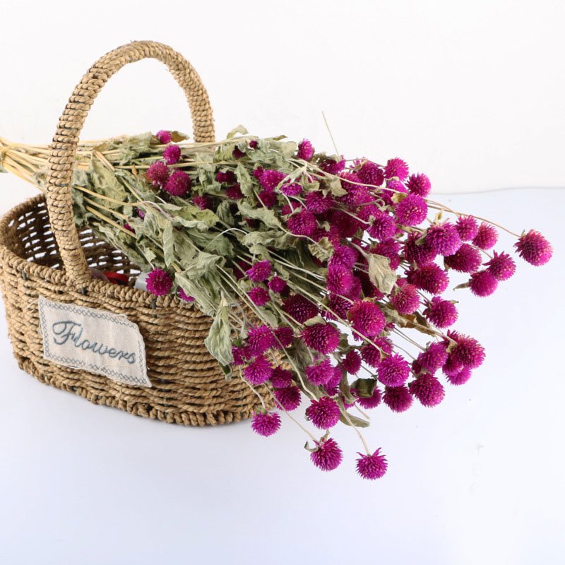 Wholesale Price Natural Dried Flowers Bouquet Gomphrena Dried Plants Preserved Flower