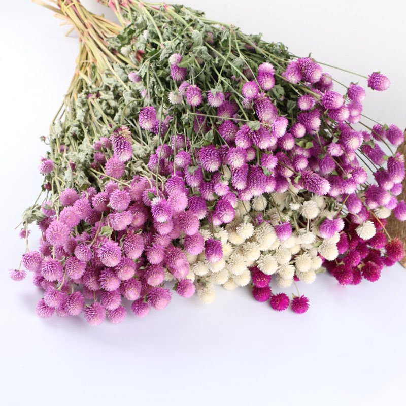 Wholesale Price Natural Dried Flowers Bouquet Gomphrena Dried Plants Preserved Flower