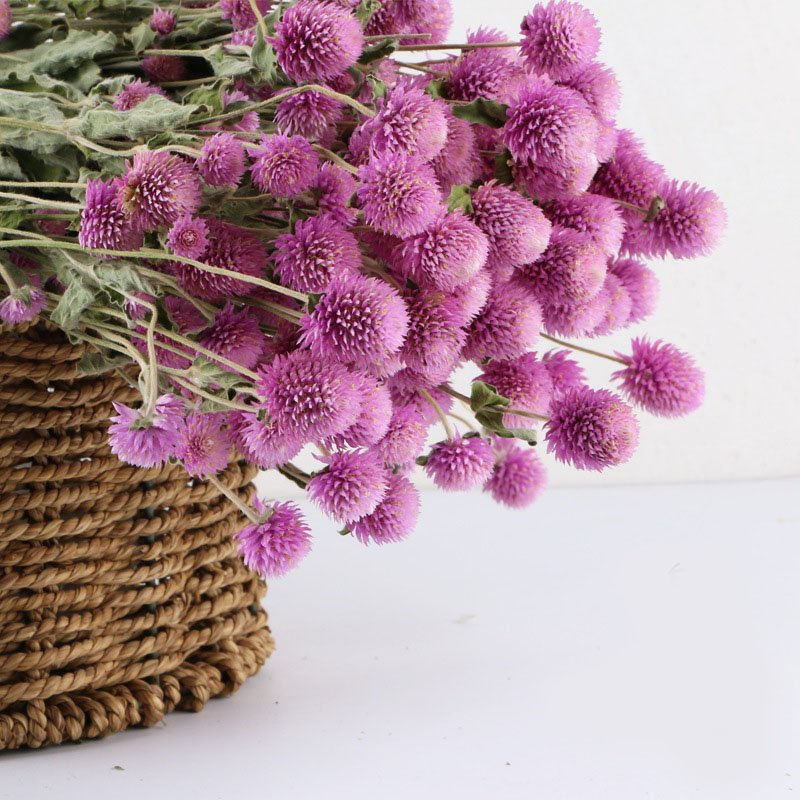 Wholesale Price Natural Dried Flowers Bouquet Gomphrena Dried Plants Preserved Flower