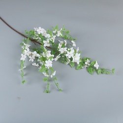 50cm