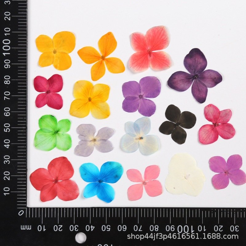 Hydrangea Dry Flower DIY Flowers Flores Artificial Plants Wedding Favors And Gifts Decoration Home