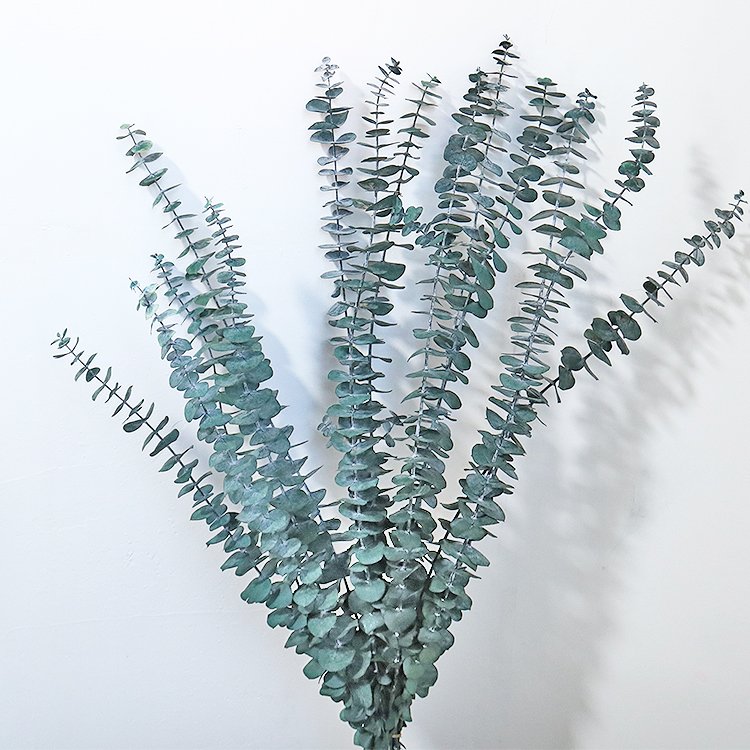 A-26 2023 new arrivals cheap natural candles dry Eucalyptus leaves Decorative flowers dried flower eucalyptus garland