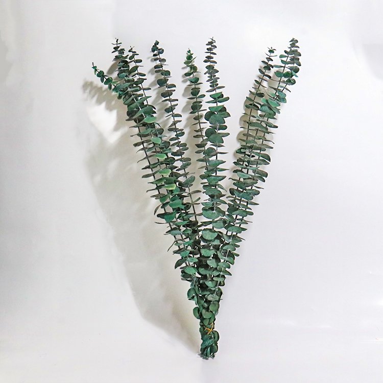 A-26 2023 new arrivals cheap natural candles dry Eucalyptus leaves Decorative flowers dried flower eucalyptus garland