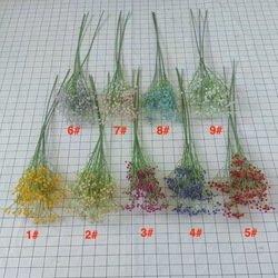 5#