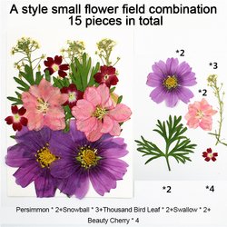 DFL014