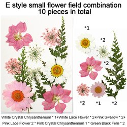 DFL016