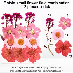 DFL017