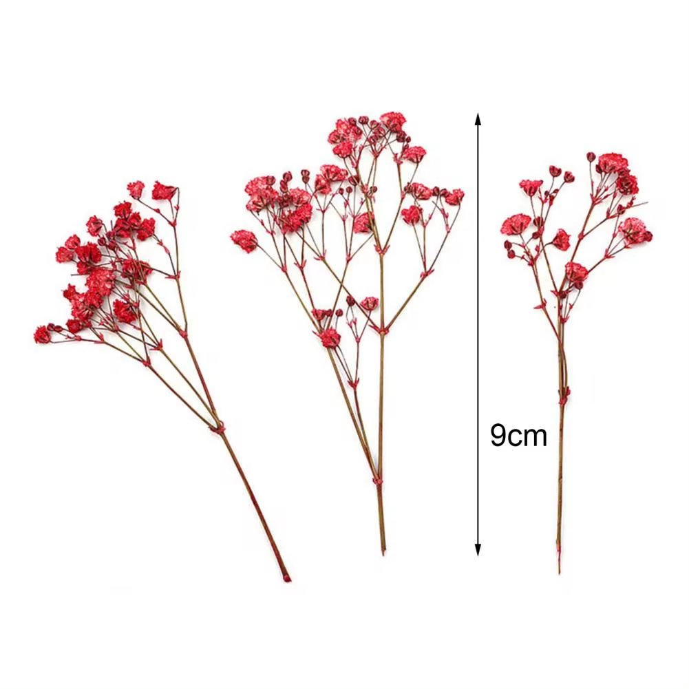 Fashion Press Flowers Everlasting Gypsophila Bouquets Colorful Dried Pressed Baby's Breath Flower for DIY Decor