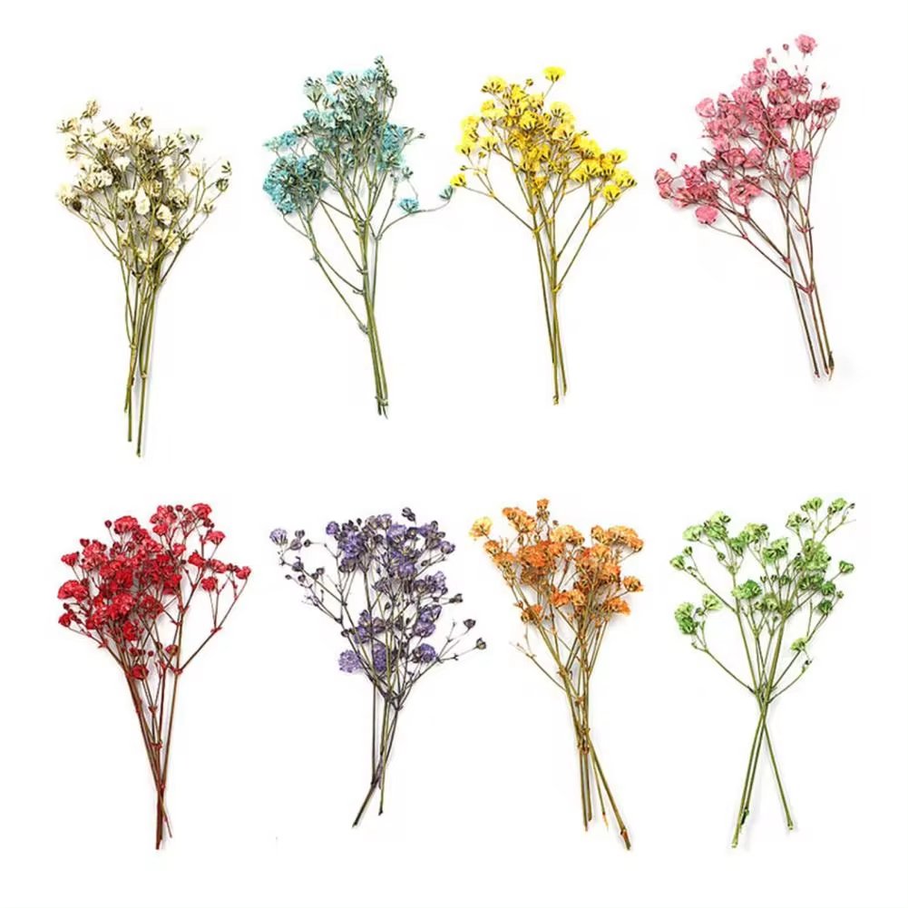 Fashion Press Flowers Everlasting Gypsophila Bouquets Colorful Dried Pressed Baby's Breath Flower for DIY Decor