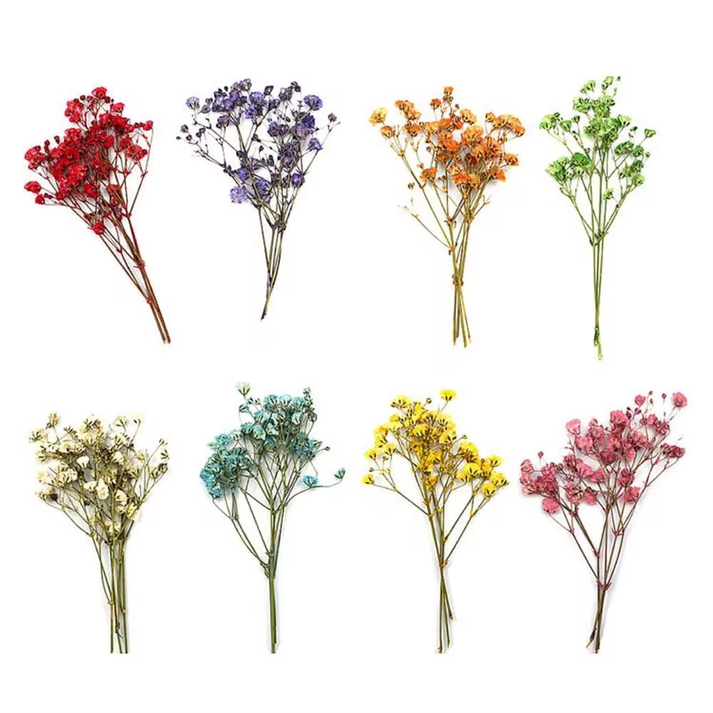 Fashion Press Flowers Everlasting Gypsophila Bouquets Colorful Dried Pressed Baby's Breath Flower for DIY Decor