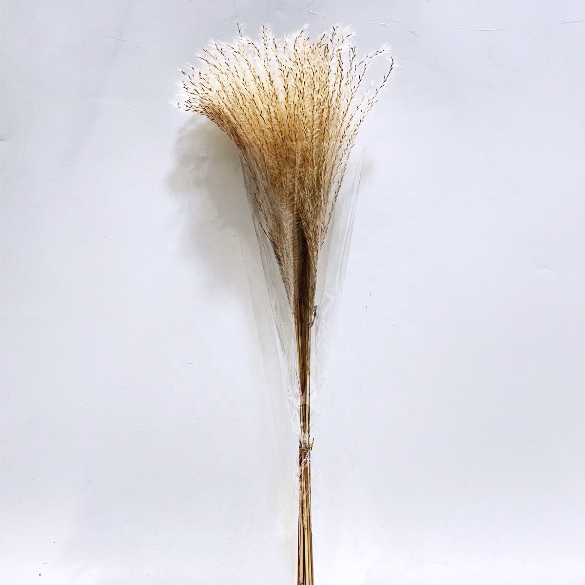 Natural Dried Pampas Grass Bouquet Dried Flowers Pampas