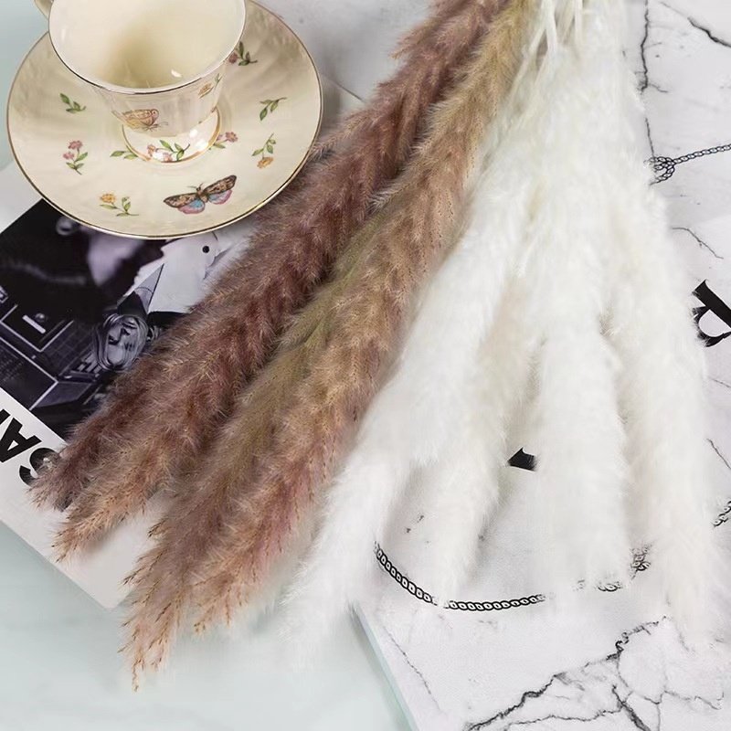 wholesale New wedding decoration natural pampas grass dried flowers home office wedding party festival decoration