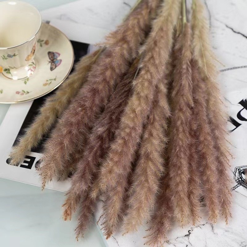 wholesale New wedding decoration natural pampas grass dried flowers home office wedding party festival decoration