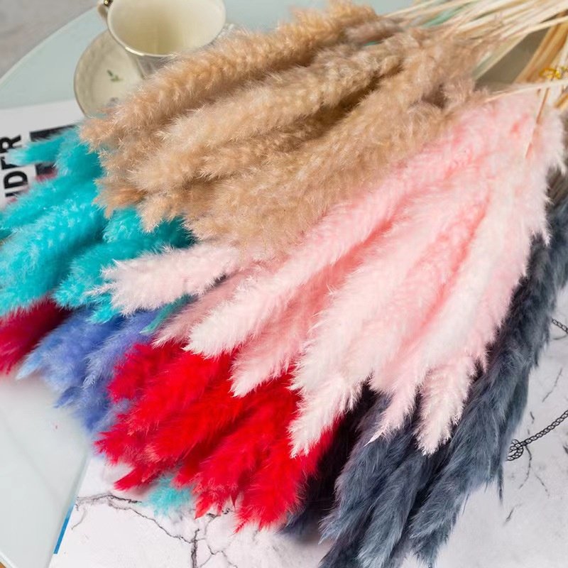 wholesale New wedding decoration natural pampas grass dried flowers home office wedding party festival decoration