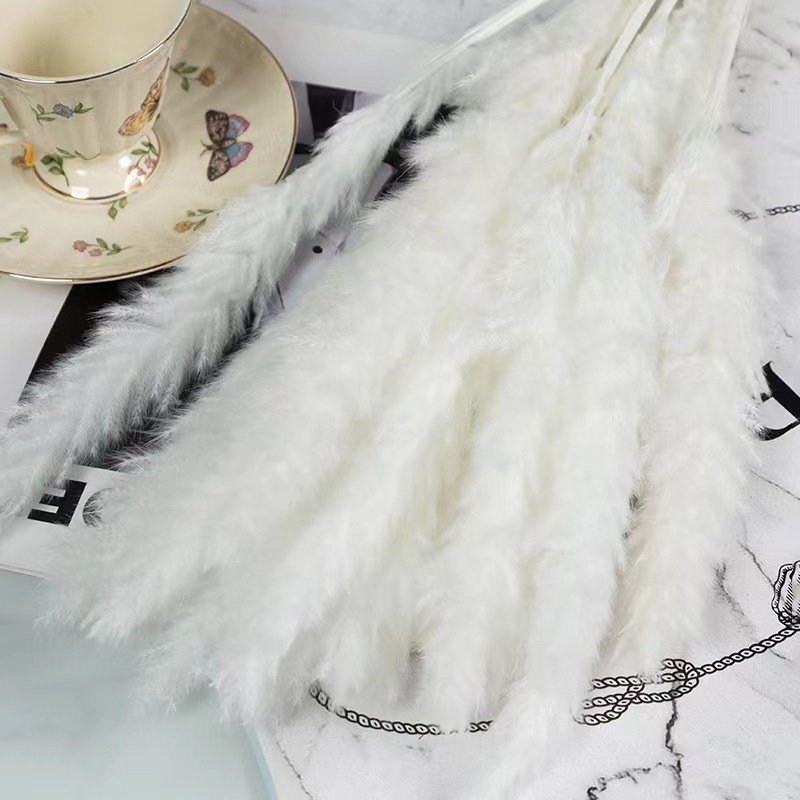 wholesale New wedding decoration natural pampas grass dried flowers home office wedding party festival decoration