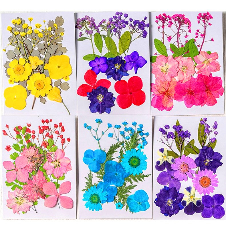 INTODIY Pressed Dried Flowers Bulk Mixed Pack Fresh Real Dry Flower Leaves Plant For Resin Nail Art Handmade