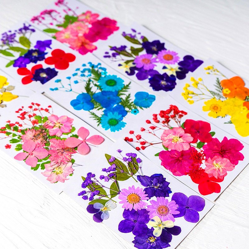 INTODIY Pressed Dried Flowers Bulk Mixed Pack Fresh Real Dry Flower Leaves Plant For Resin Nail Art Handmade