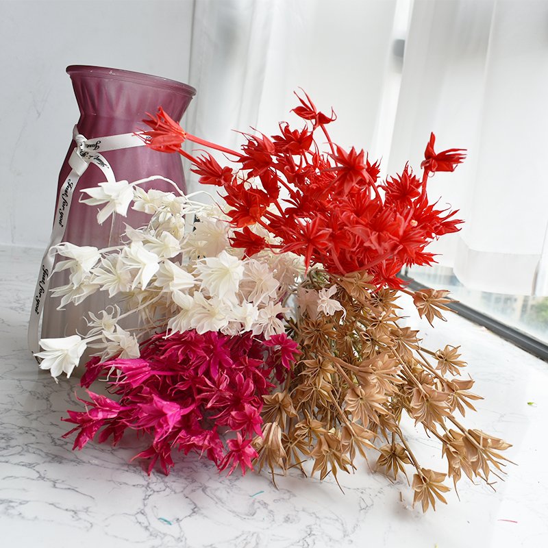 Dried Octagon Flowers Natural Dried Anise Flower Bouquet for Wedding Home Decoration for flower arrangement