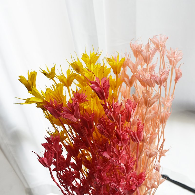 Dried Octagon Flowers Natural Dried Anise Flower Bouquet for Wedding Home Decoration for flower arrangement
