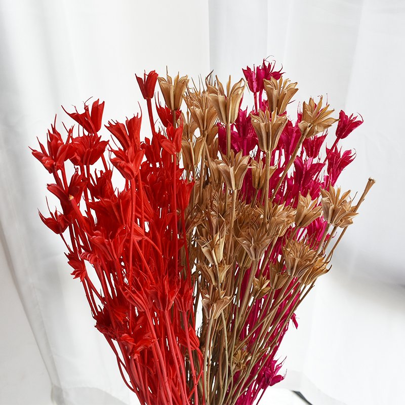 Dried Octagon Flowers Natural Dried Anise Flower Bouquet for Wedding Home Decoration for flower arrangement