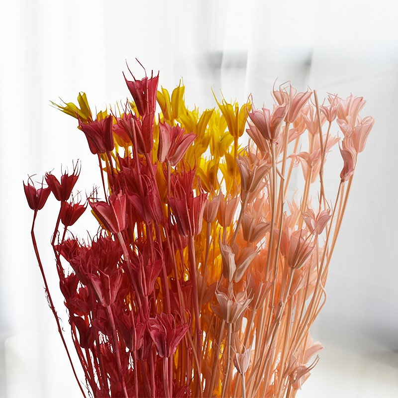 Dried Octagon Flowers Natural Dried Anise Flower Bouquet for Wedding Home Decoration for flower arrangement