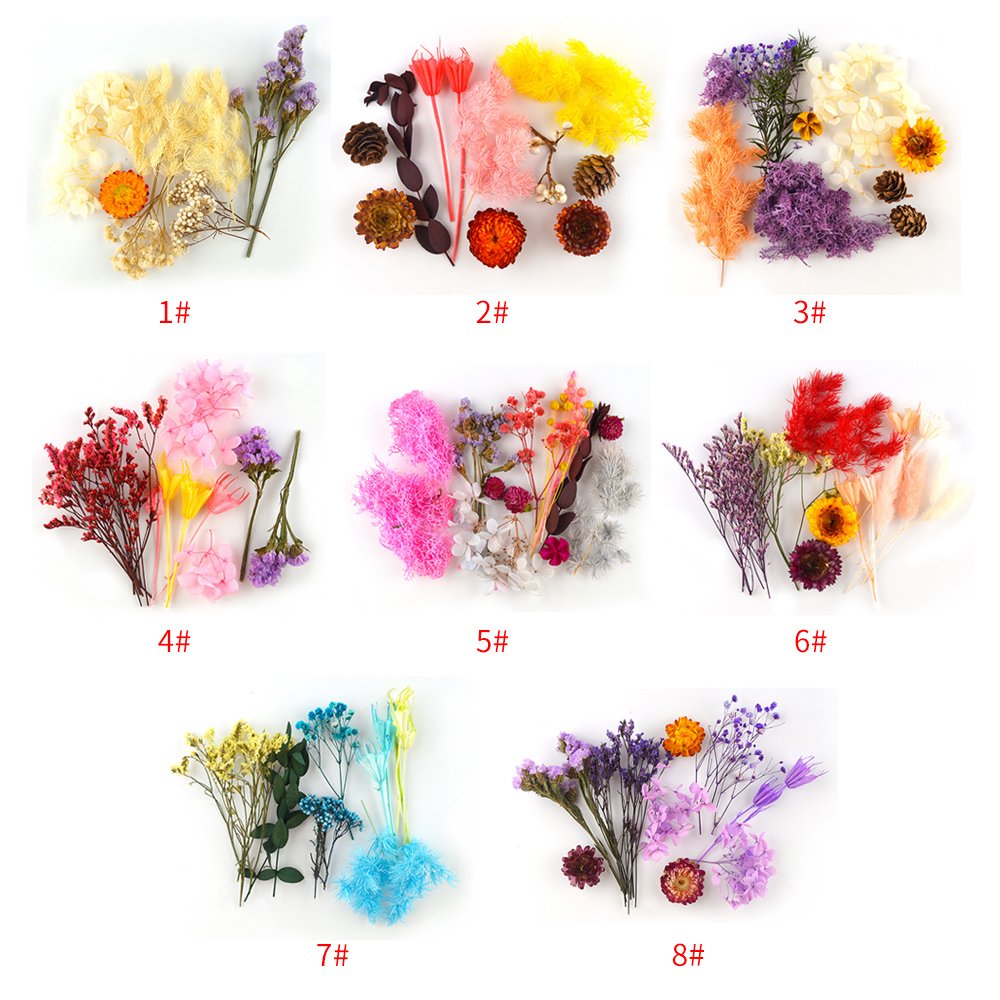 JF072 Hot Sell Pressed Dry Flowers Naturl Mixed Random Dried Flower For DIY Epoxy Resin Craft Nail Art Materials