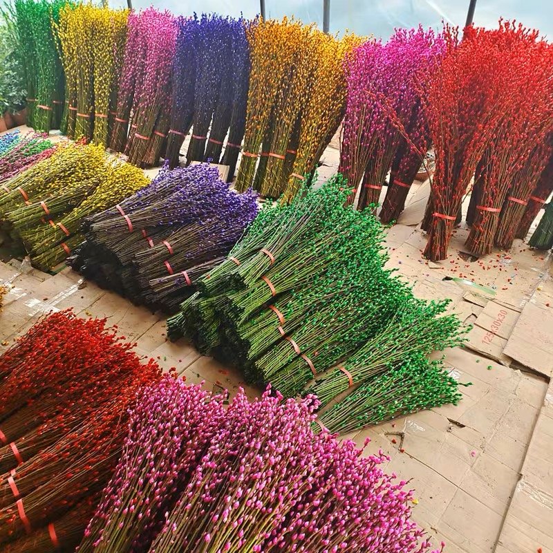 2024 Natural Salix Silver Willow Dried Flower Plants Pussy Willow for Home New Year Decor Flower