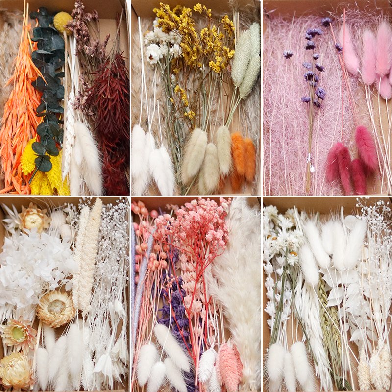 Fall Autumn DIY Dried Flower Craft Box Natural Real Mixed Dry Floral Art Cake Decor Table Decor Bud Vase Arrangement Resin Art