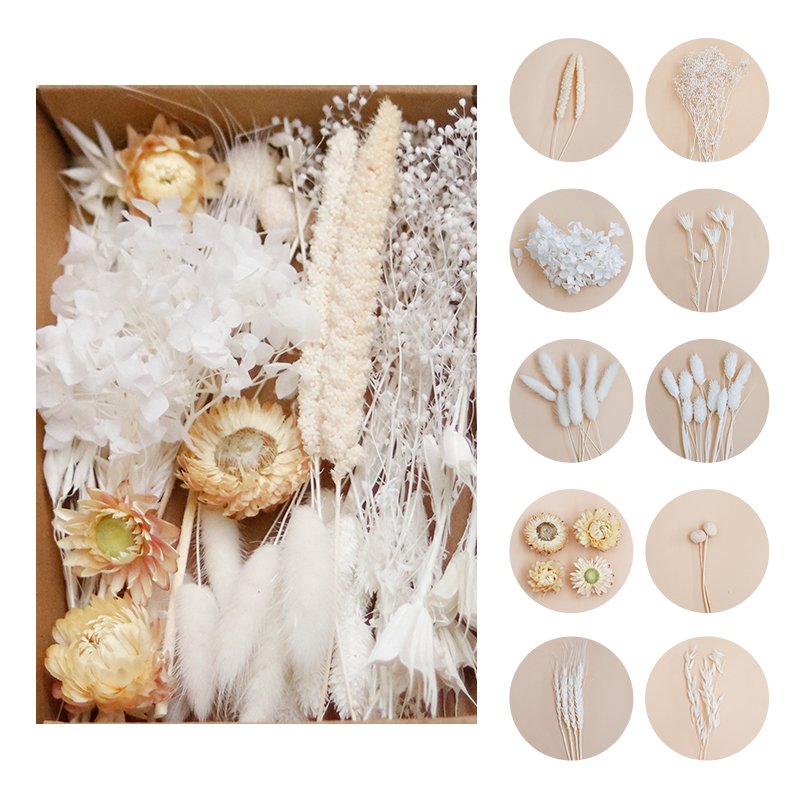 Fall Autumn DIY Dried Flower Craft Box Natural Real Mixed Dry Floral Art Cake Decor Table Decor Bud Vase Arrangement Resin Art