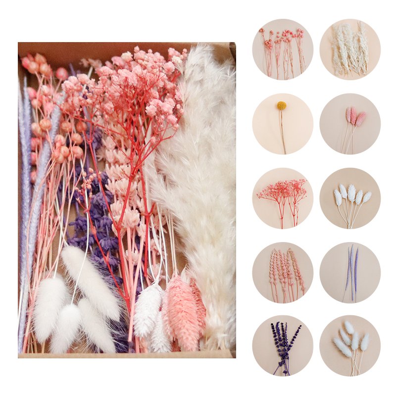 Fall Autumn DIY Dried Flower Craft Box Natural Real Mixed Dry Floral Art Cake Decor Table Decor Bud Vase Arrangement Resin Art