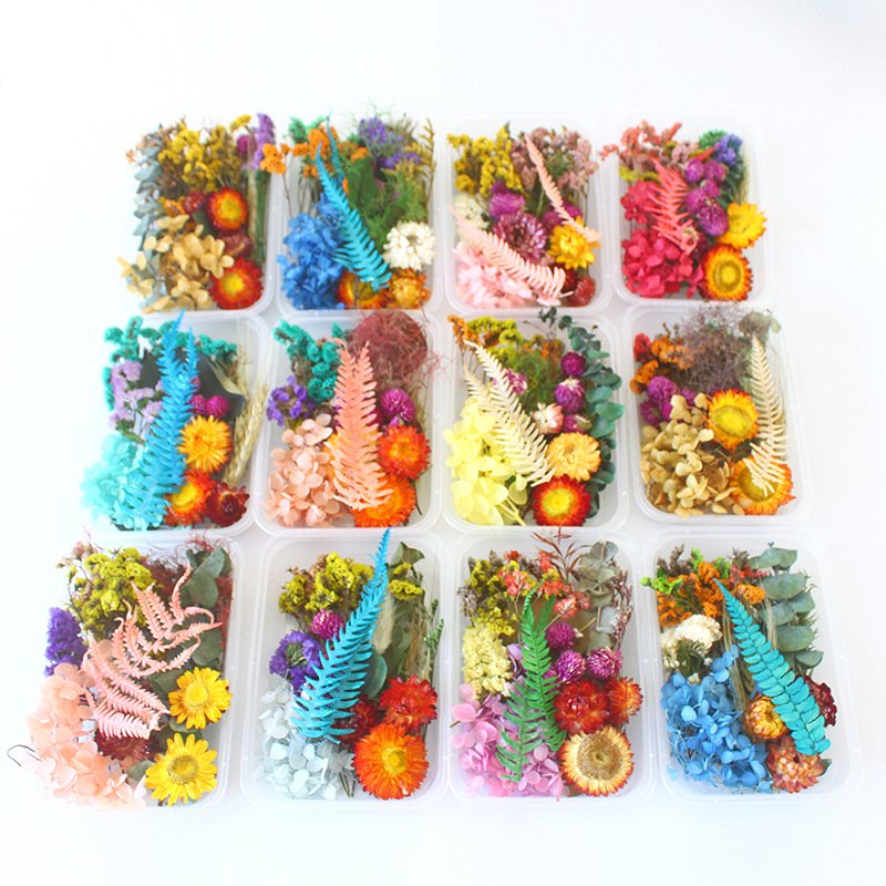 flower box Real Dried Flower DIY Packing Materials for Resin Flower Accessories candle decorative paintings