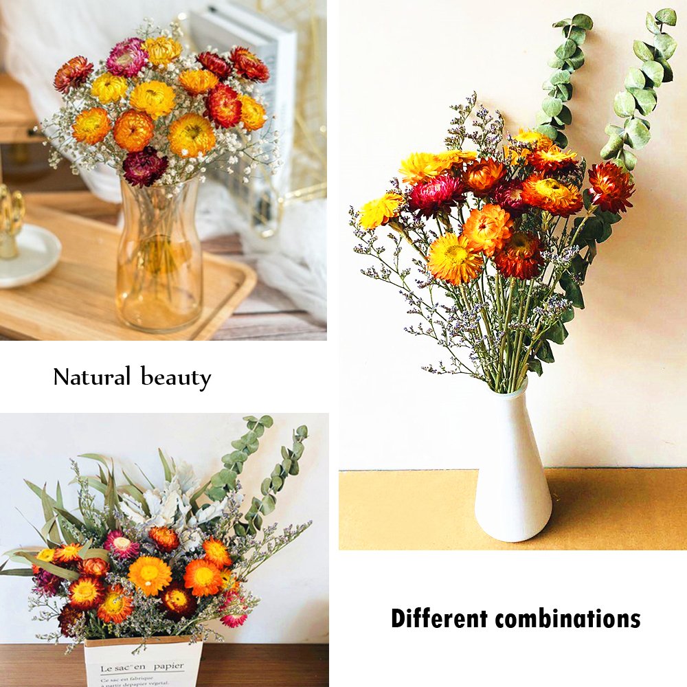 Manufacturer Dried Flower Daisy Bouquet 100% Natural Chrysanthemum Dry Flower Home Decora Party DIY Arrangement Wheat Straw Bulk