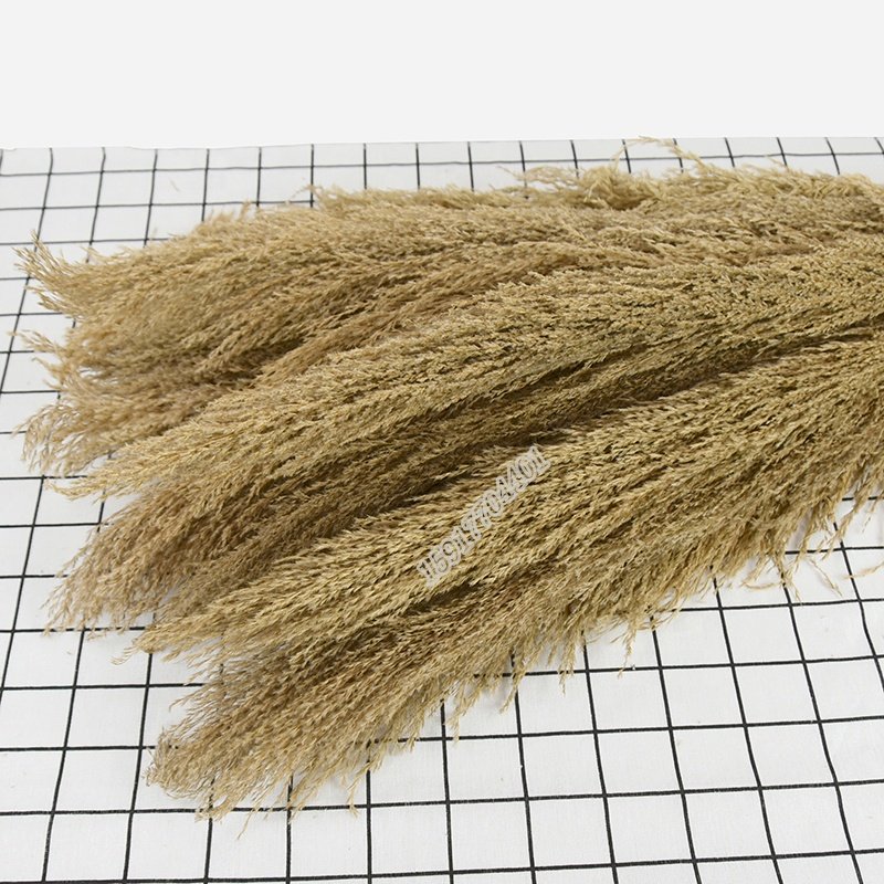 Factory sale natural plant 100 cm reed dried grass dried flower for home decoration