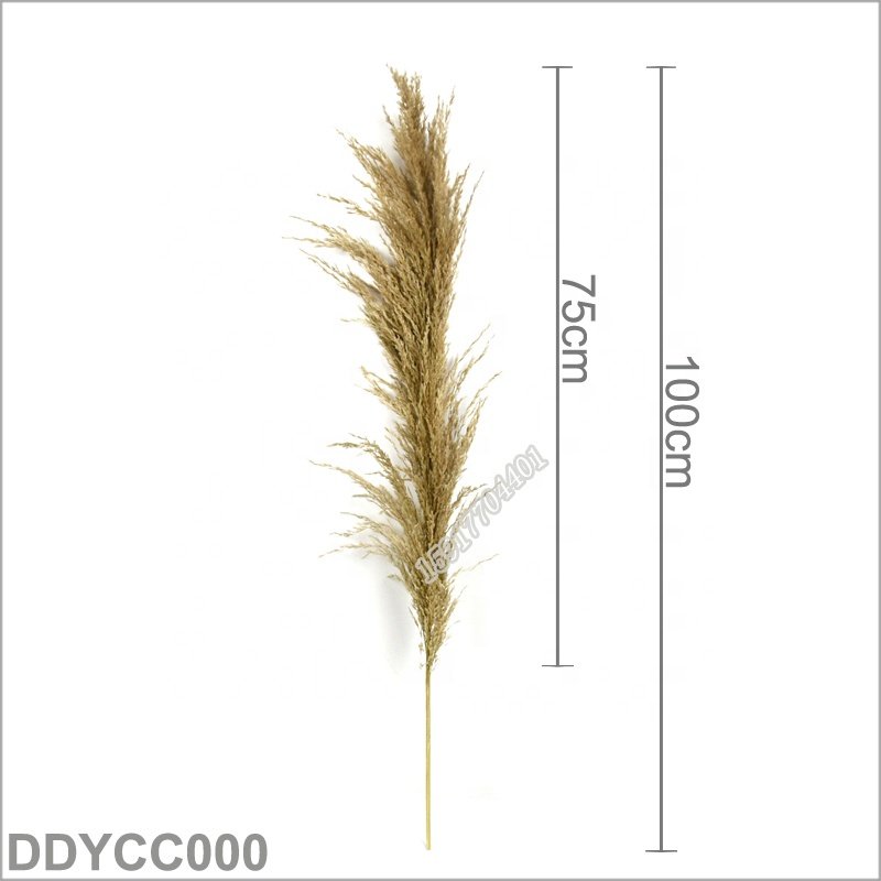 Factory sale natural plant 100 cm reed dried grass dried flower for home decoration