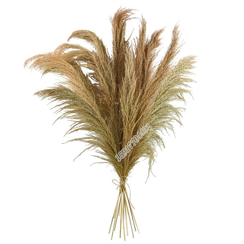 Factory sale natural plant 100 cm reed dried grass dried flower for home decoration