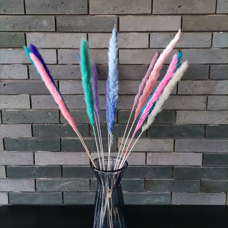 sumflora 2024 new arrivals Photo Background Instagram gifts & crafts dried flowers small pampas grass