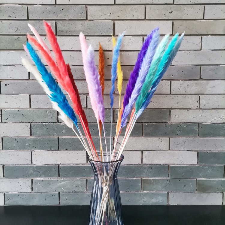 sumflora 2024 new arrivals Photo Background Instagram gifts & crafts dried flowers small pampas grass