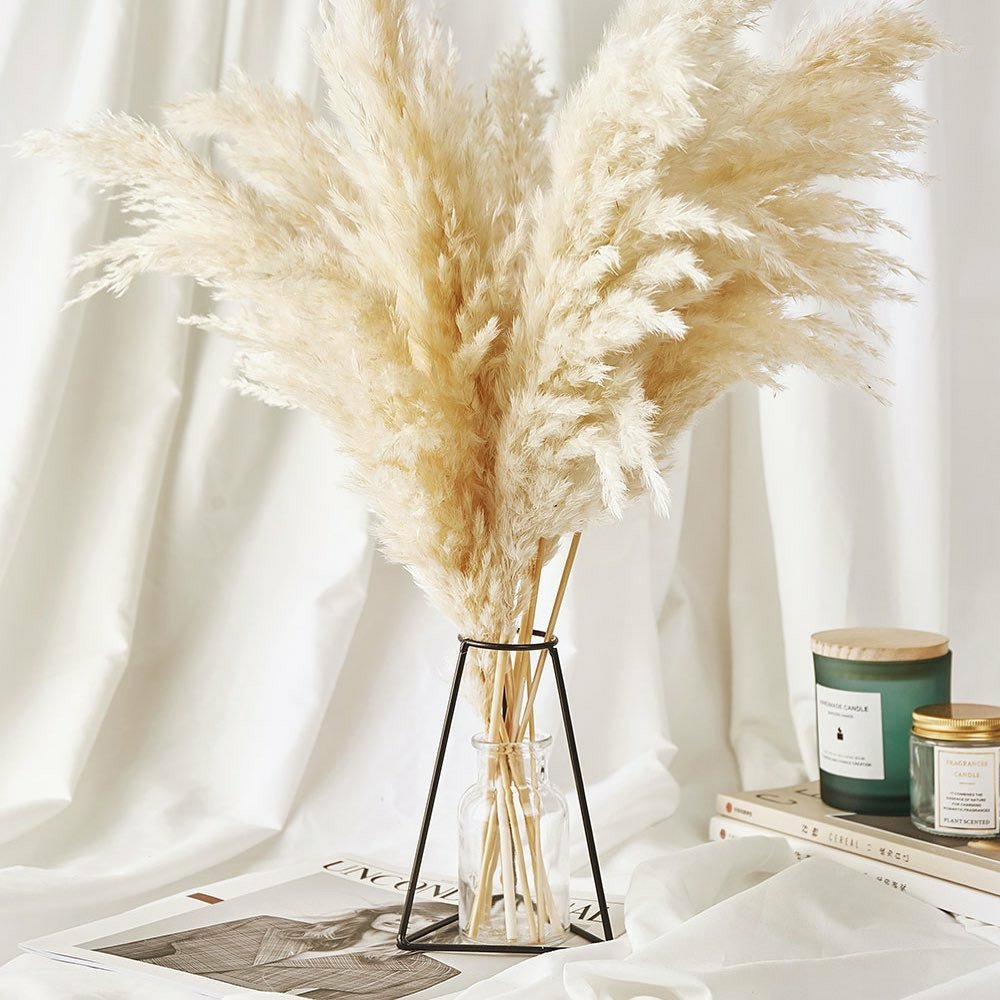 Good Quality Fluffy Tall Pampas Boho Decoration Home Table Centerpiece Grass Dried Natural Flower Arranging for Wedding Party