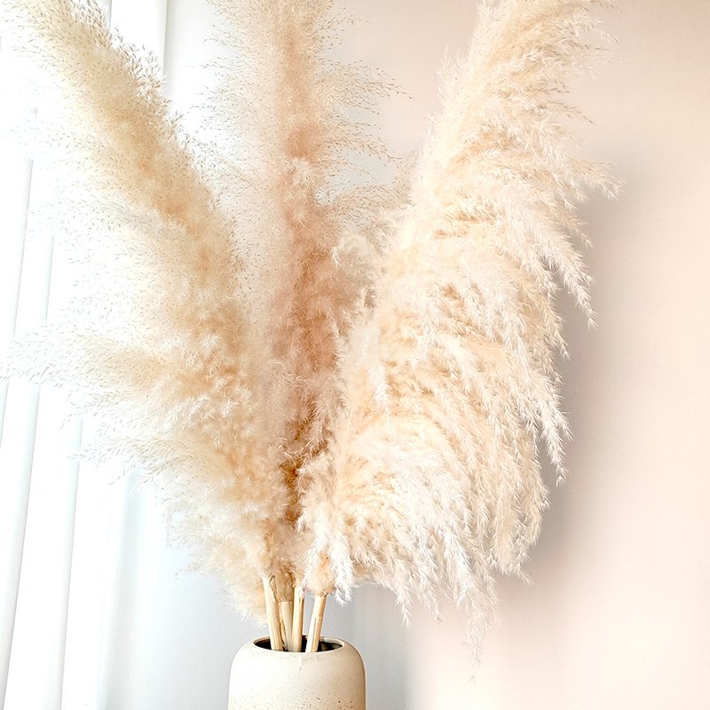 Good Quality Fluffy Tall Pampas Boho Decoration Home Table Centerpiece Grass Dried Natural Flower Arranging for Wedding Party
