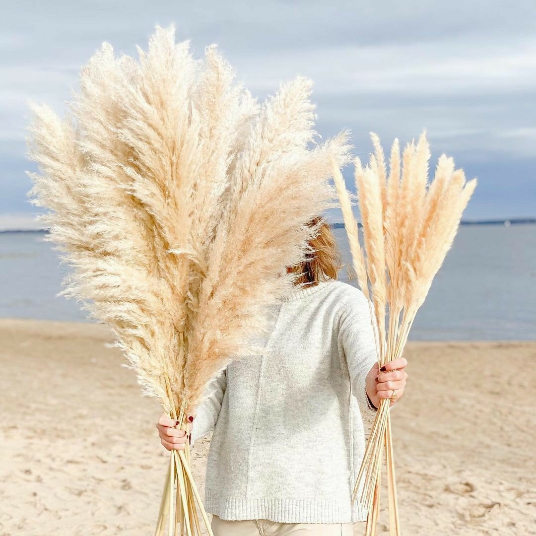 Good Quality Fluffy Tall Pampas Boho Decoration Home Table Centerpiece Grass Dried Natural Flower Arranging for Wedding Party