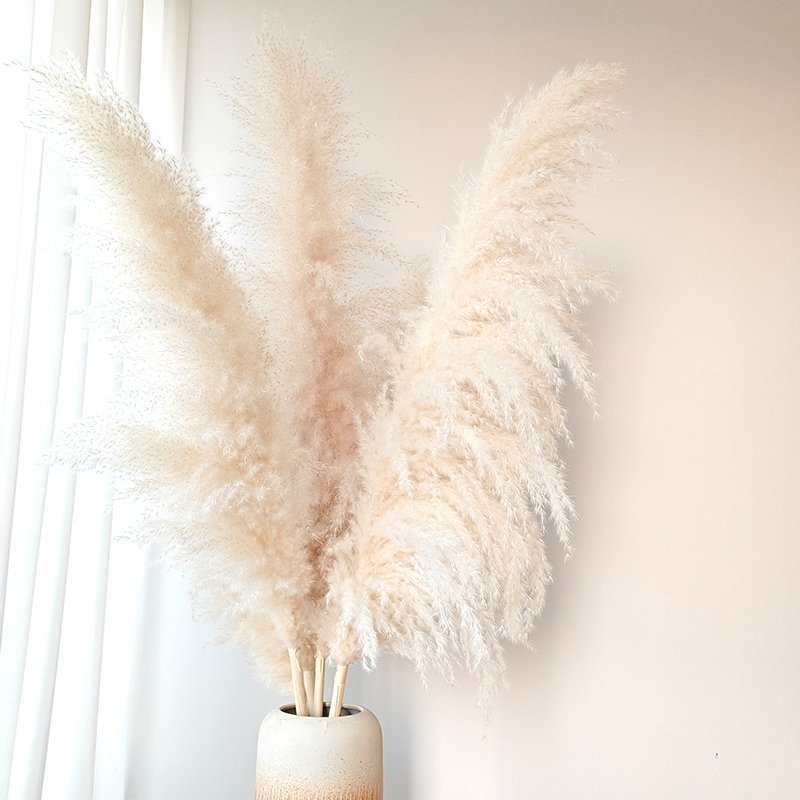 Good Quality Fluffy Tall Pampas Boho Decoration Home Table Centerpiece Grass Dried Natural Flower Arranging for Wedding Party