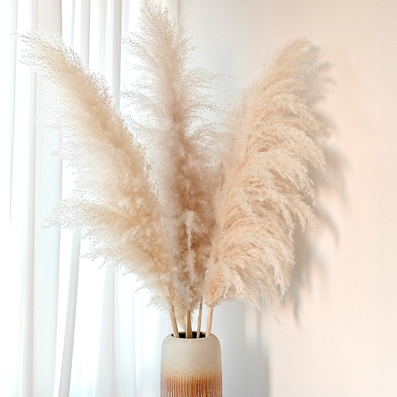 Good Quality Fluffy Tall Pampas Boho Decoration Home Table Centerpiece Grass Dried Natural Flower Arranging for Wedding Party