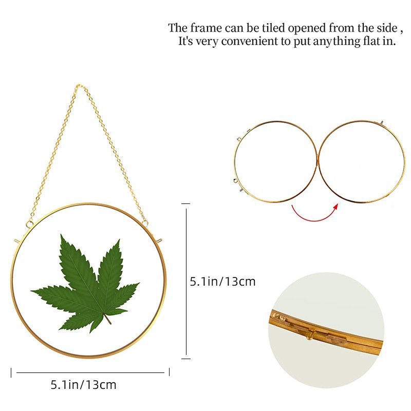 Golden Round Dried Flower Brass Glass Photo Frame Round Botanical Floating Frame for Home Decoration