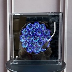 DHLYLSJ02-DS-3