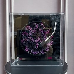 DHLYLSJ02-DS-4
