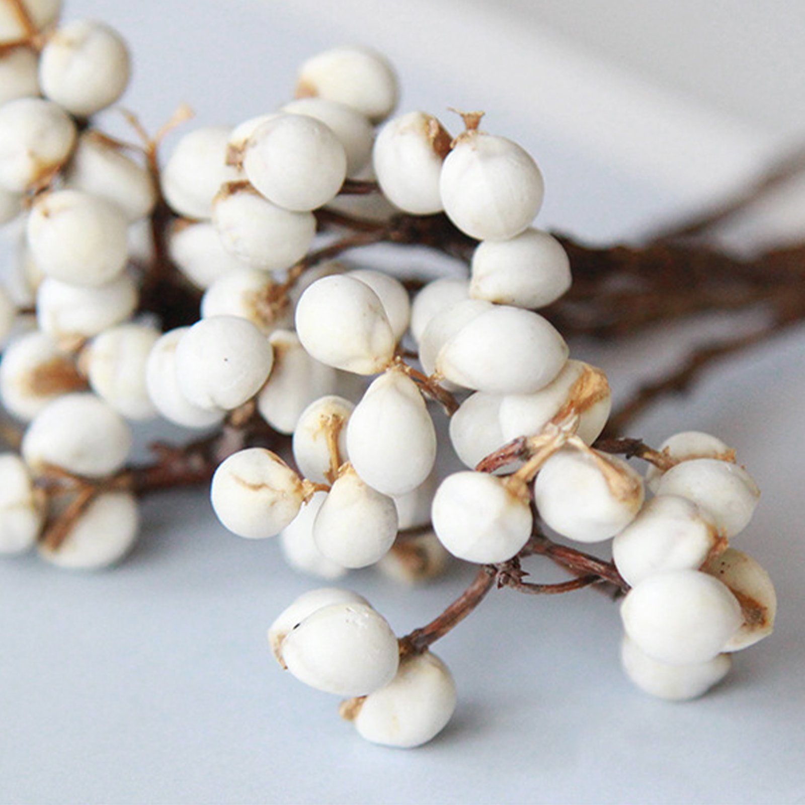 Manufacturer Natural White Tallow Berries Dried Flower For Home Party Wedding Decoration